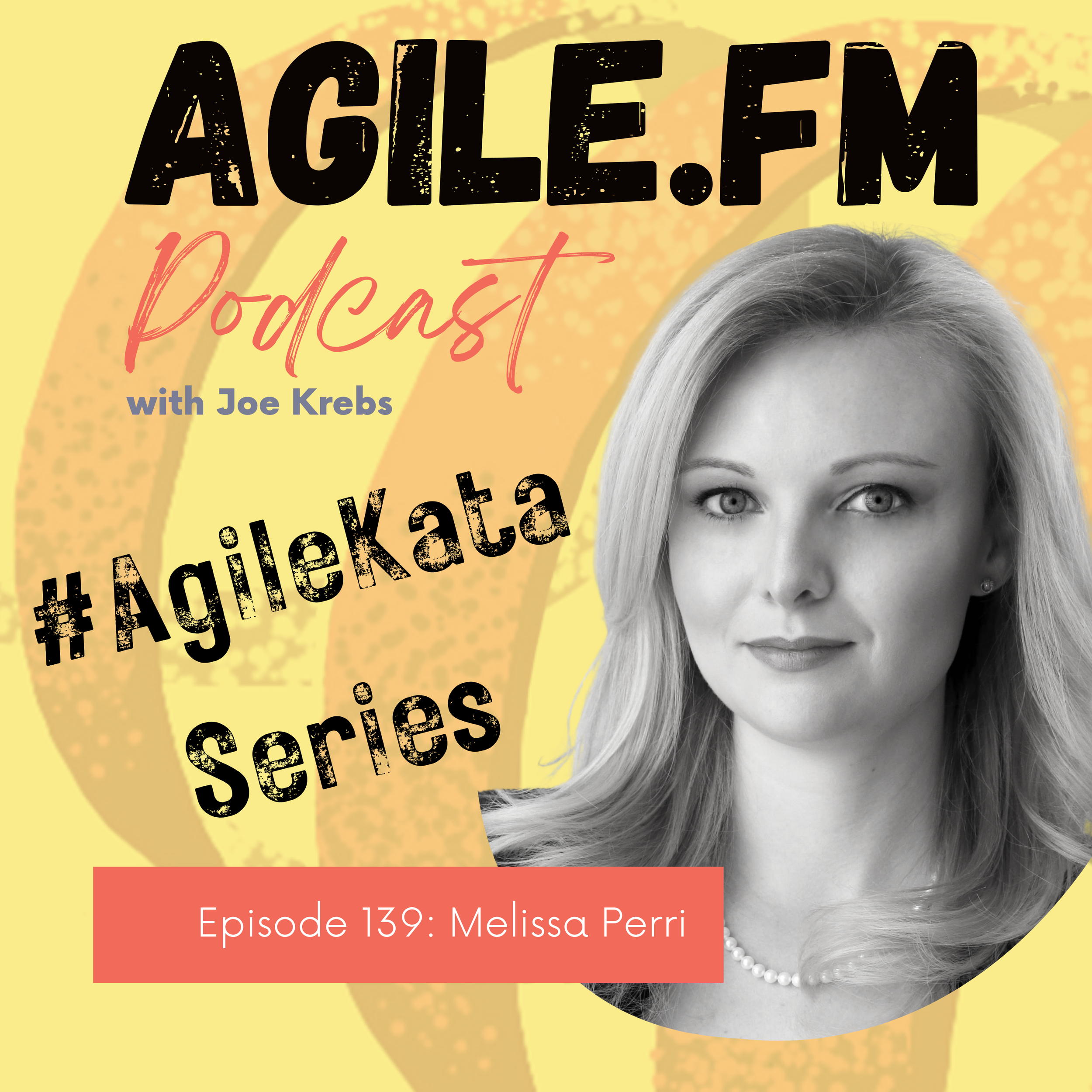 Audio — Agile Kata Pro